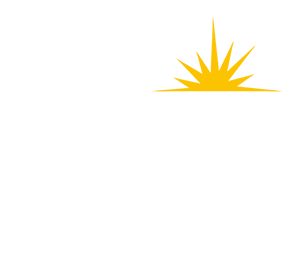 MSI LOGO BLANC 001
